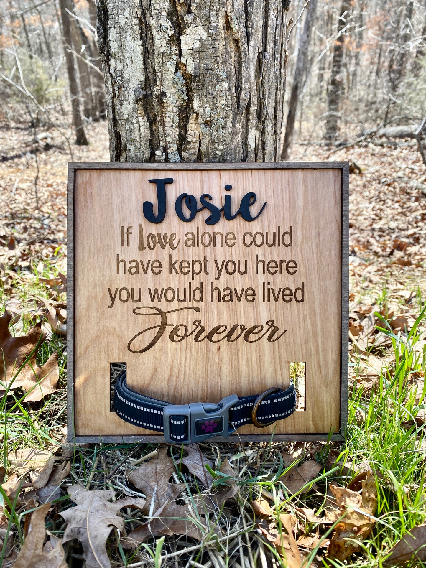 Personalized Dog Remembrance Frame, Pet Memorial