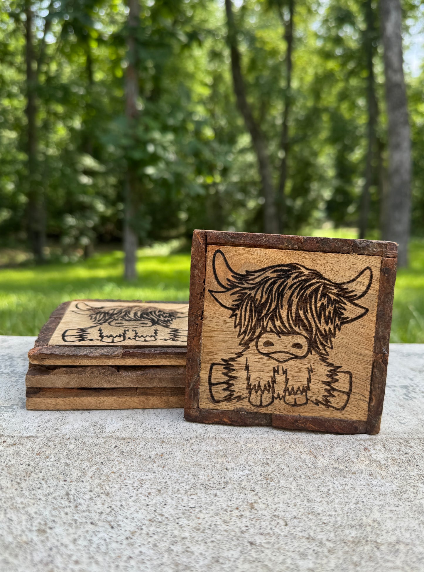 Highland Cow Coasters