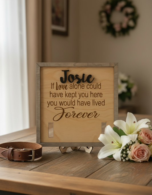 Personalized Dog Remembrance Collar Frame, Pet Memorial