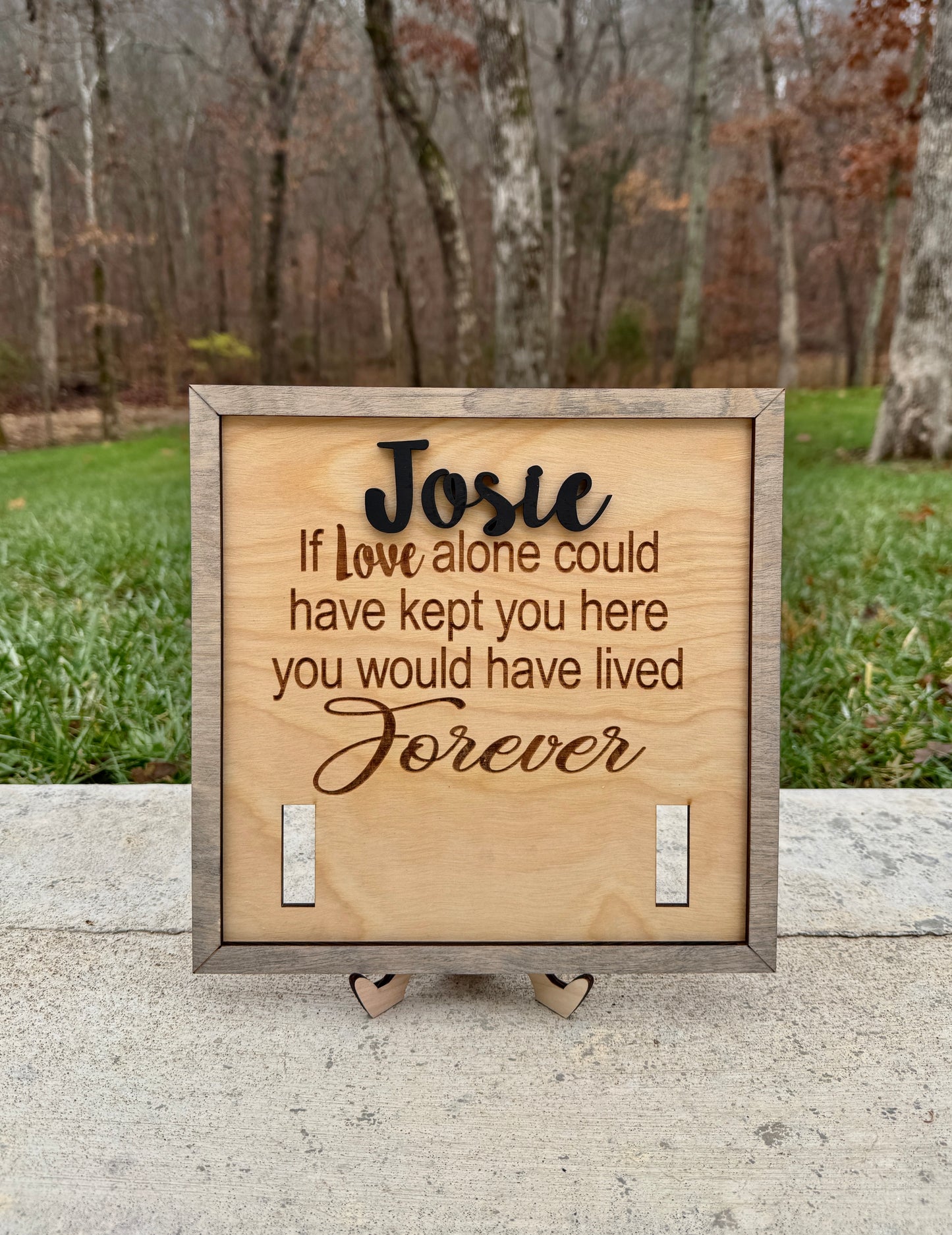 Personalized Dog Remembrance Collar Frame, Pet Memorial