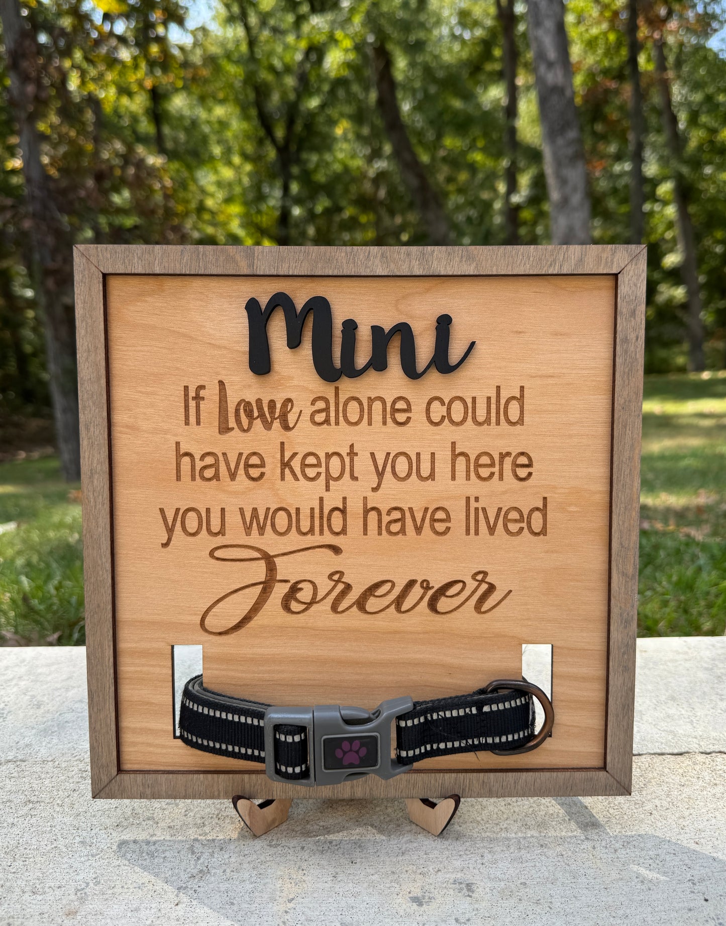 Personalized Dog Remembrance Collar Frame, Pet Memorial