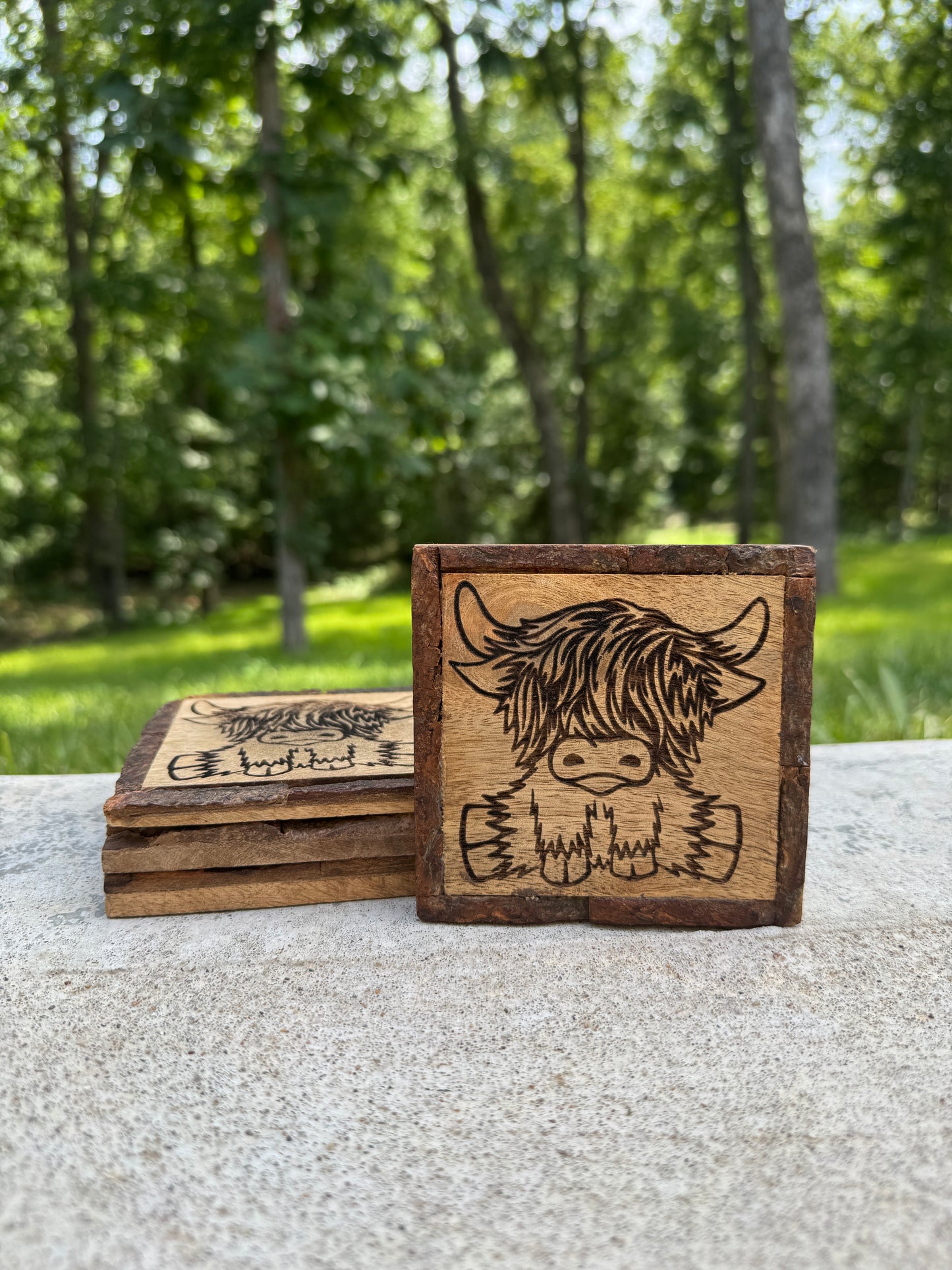 Highland Cow Coasters